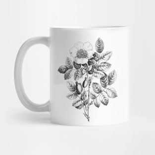 Wild Rose Flower Black & White Illustration Mug